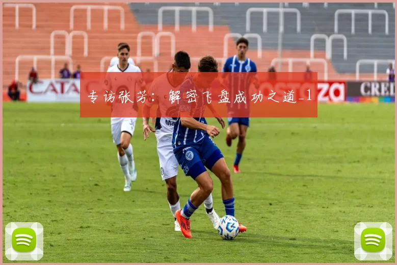 专访张芳：解密飞盘成功之道_1