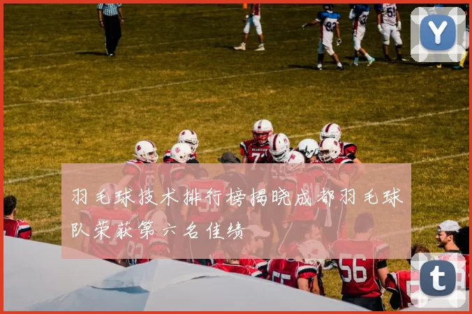 羽毛球技术排行榜揭晓成都羽毛球队荣获第六名佳绩