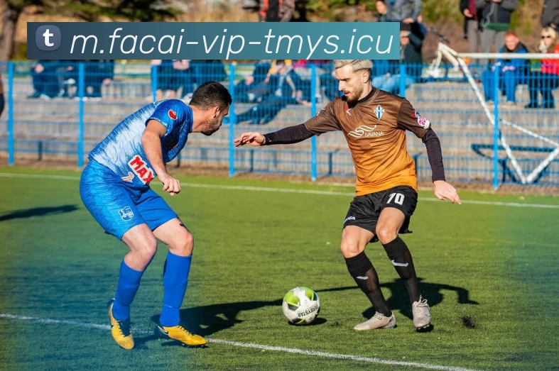 星空体育发展历程